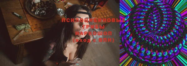 дживик Алексин