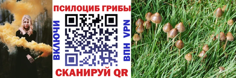 продажа наркотиков  блэк спрут рабочий сайт  Псилоцибиновые грибы Magic Shrooms  Заинск 
